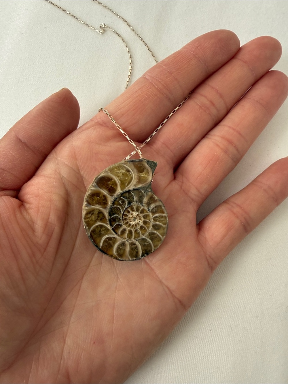 Artisan Brown and Cream Ammonite Pendant Necklace on 18” Sterling silver chain
